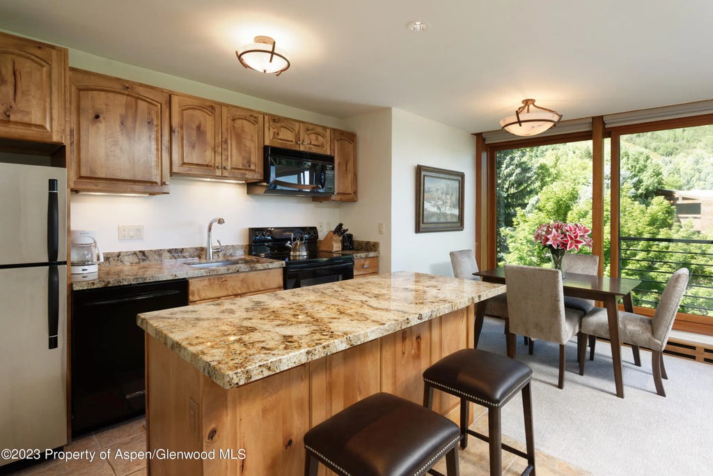 13 of 18 - 728 S Galena Street B201, Aspen, CO