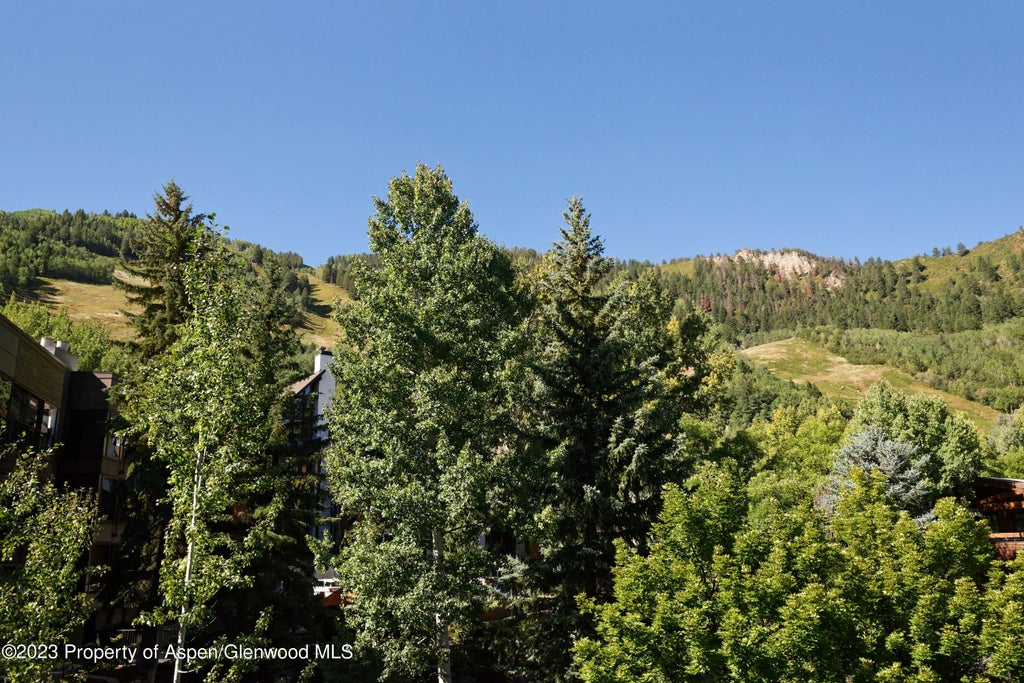 14 of 18 - 728 S Galena Street B201, Aspen, CO