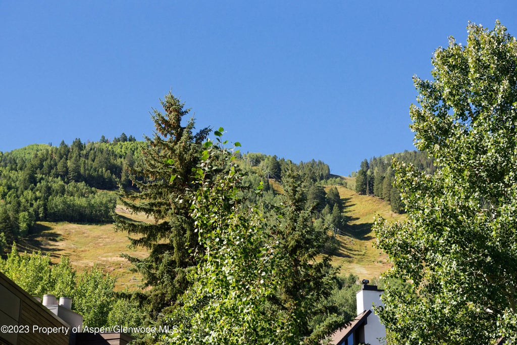 17 of 18 - 728 S Galena Street B201, Aspen, CO