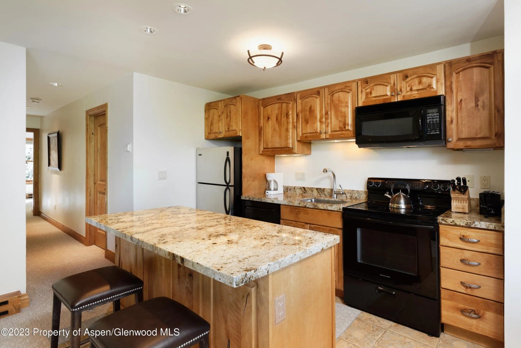 6 of 18 - 728 S Galena Street B201, Aspen, CO