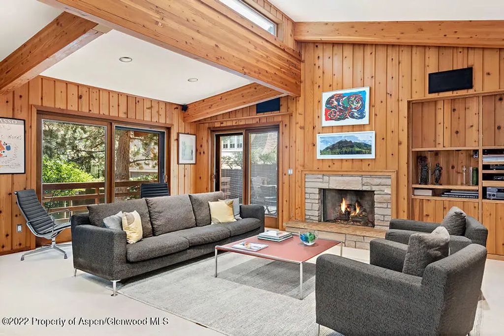 311 W North Street Unit A, Aspen