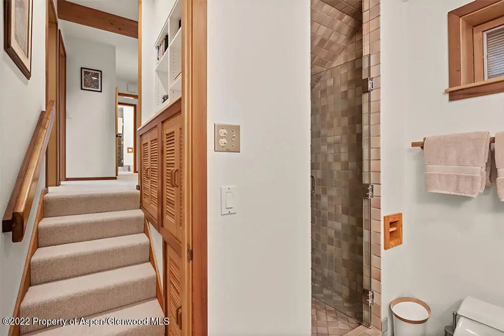 20 of 39 - 311 W North Street Unit A, Aspen, CO
