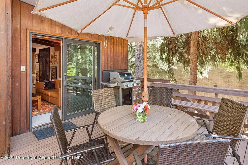 12 of 19 - 309 W North Street Unit B, Aspen, CO
