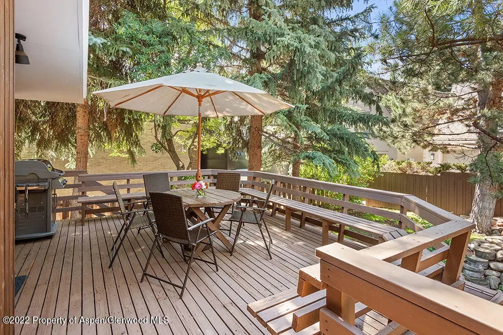 14 of 19 - 309 W North Street Unit B, Aspen, CO