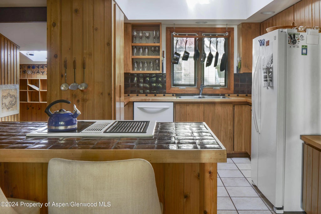 5 of 19 - 309 W North Street Unit B, Aspen, CO