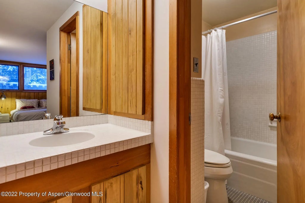 9 of 19 - 309 W North Street Unit B, Aspen, CO