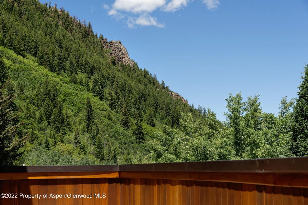 26 of 28 - 237 Gilbert Street, Aspen, CO