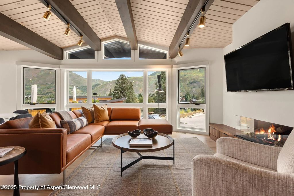 809 S Aspen Street 2, Aspen