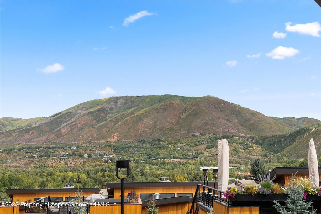 23 of 25 - 809 S Aspen Street 2, Aspen, CO