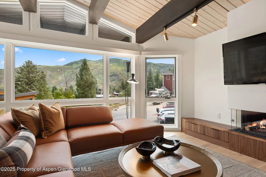 4 of 25 - 809 S Aspen Street 2, Aspen, CO