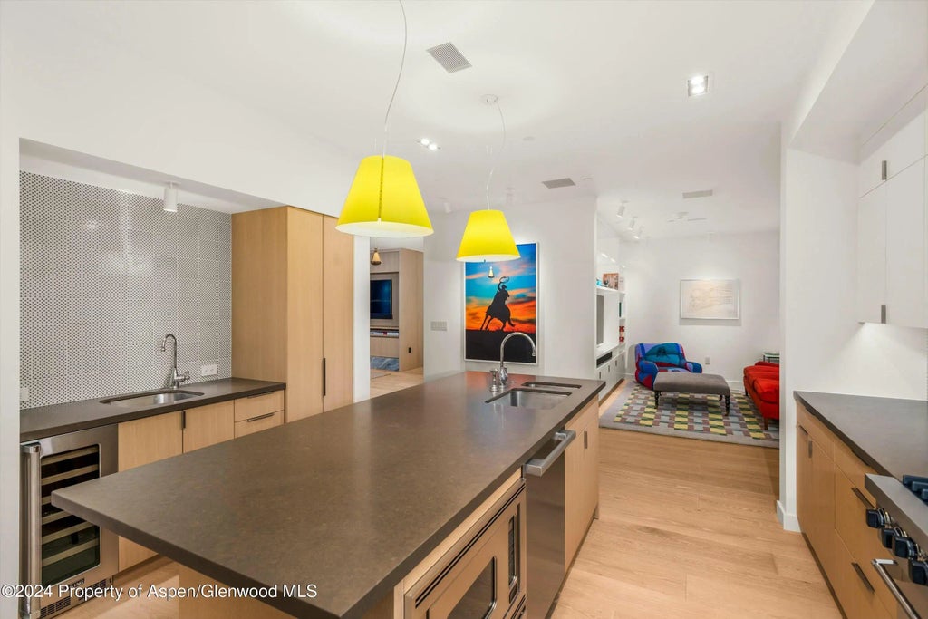 14 of 45 - 233 E Cooper Avenue 207, Aspen, CO