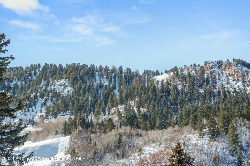 42 of 45 - 233 E Cooper Avenue 207, Aspen, CO