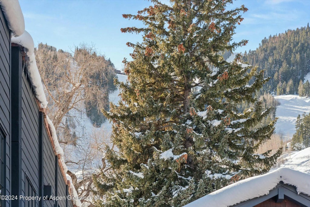 43 of 45 - 233 E Cooper Avenue 207, Aspen, CO