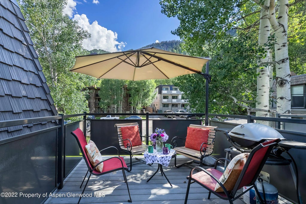 12 of 13 - 124 E Durant Avenue #4, Aspen, CO