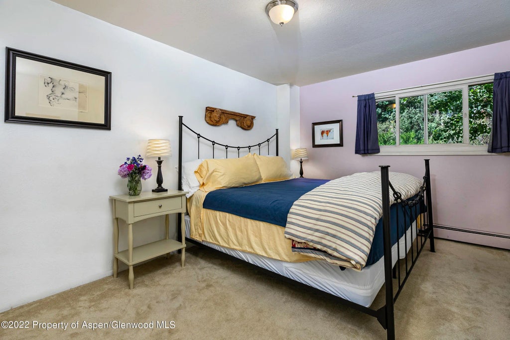 5 of 13 - 124 E Durant Avenue #4, Aspen, CO