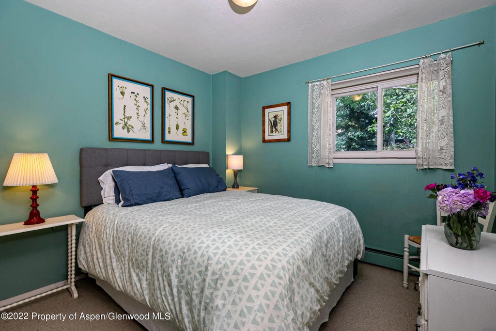 8 of 13 - 124 E Durant Avenue #4, Aspen, CO