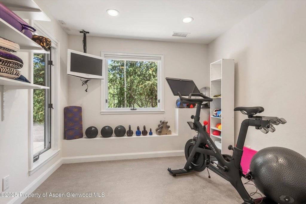 33 of 35 - 1115 Ute Avenue, Aspen, CO