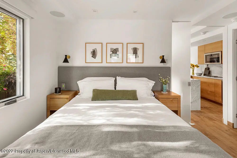 11 of 18 - 119 E Cooper Avenue 15, Aspen, CO