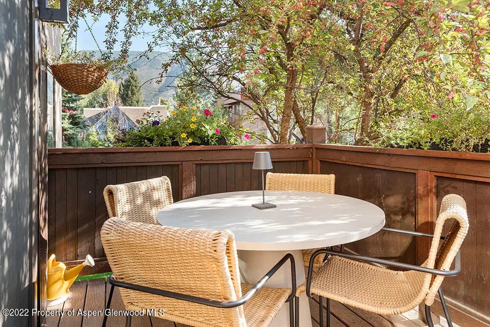 13 of 18 - 119 E Cooper Avenue 15, Aspen, CO