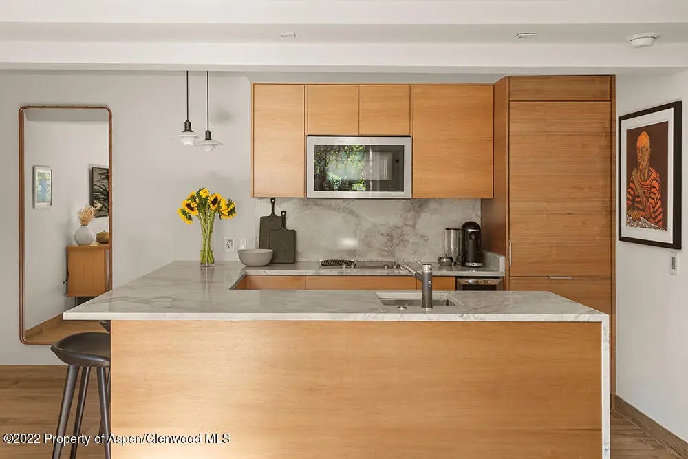 6 of 18 - 119 E Cooper Avenue 15, Aspen, CO