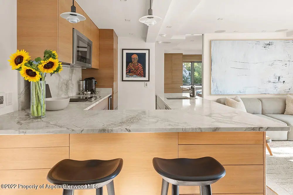 7 of 18 - 119 E Cooper Avenue 15, Aspen, CO