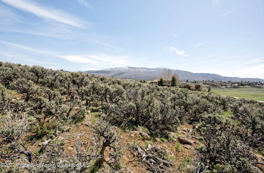 17 of 36 - 0811 Green Meadow Drive, Carbondale, CO