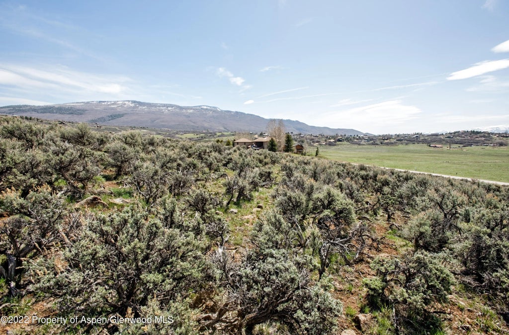 18 of 36 - 0811 Green Meadow Drive, Carbondale, CO
