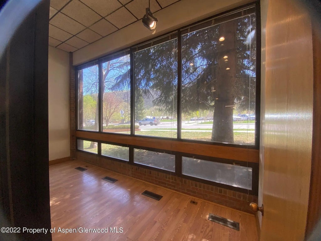 4 of 16 - 225 N Mill Street 117, Aspen, CO