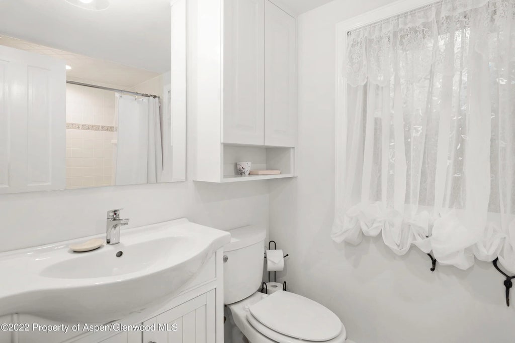 12 of 14 - 950 E Durant Avenue Unit 2, Aspen, CO