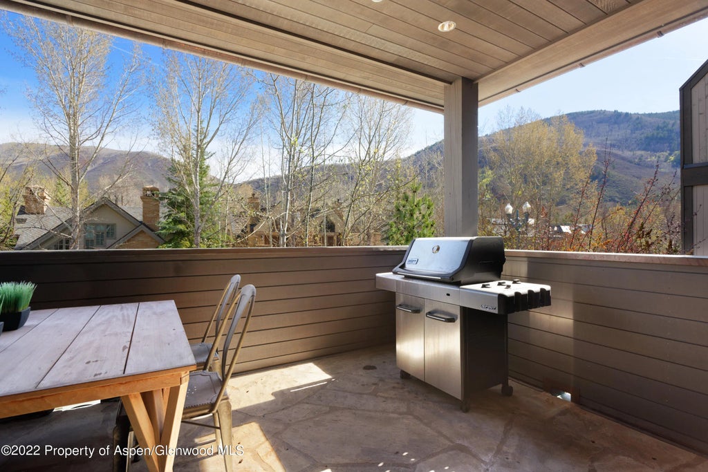 26 of 28 - 410 S West End Street 101, Aspen, CO