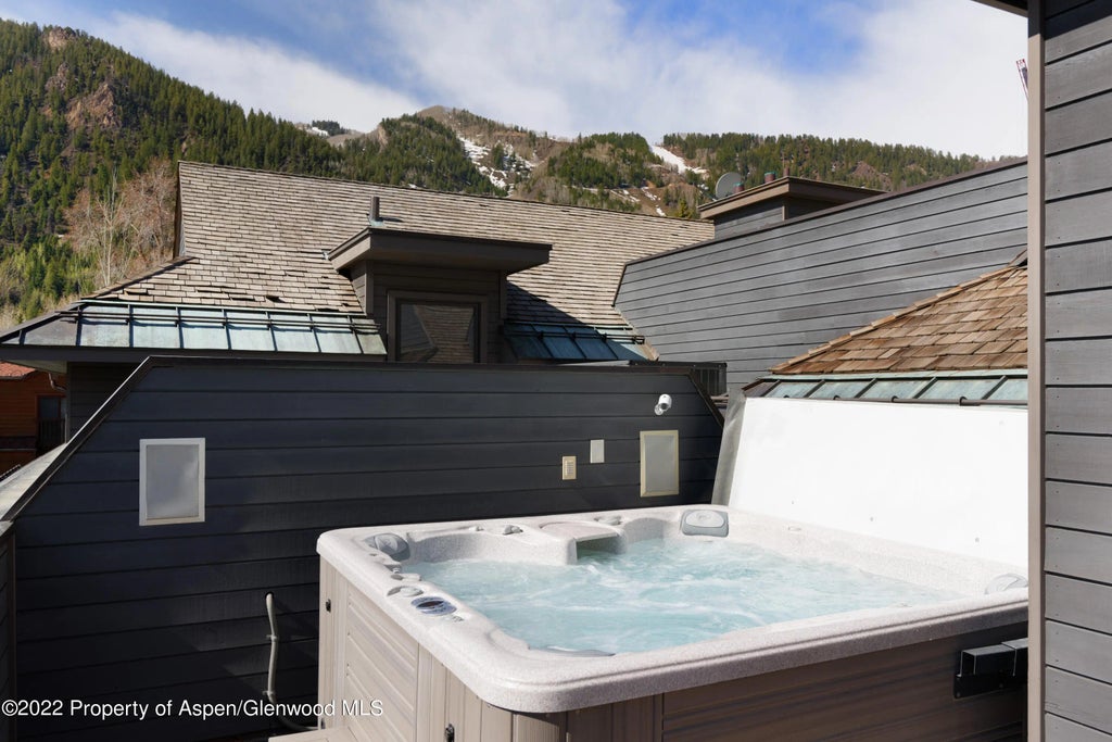 27 of 28 - 410 S West End Street 101, Aspen, CO