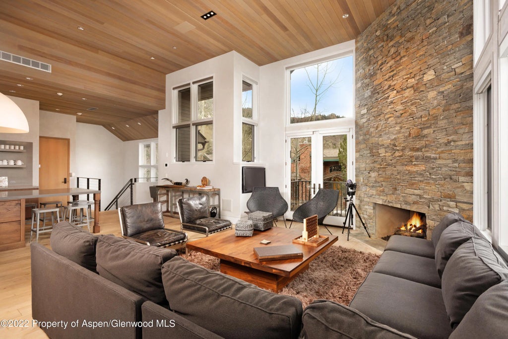 4 of 28 - 410 S West End Street 101, Aspen, CO