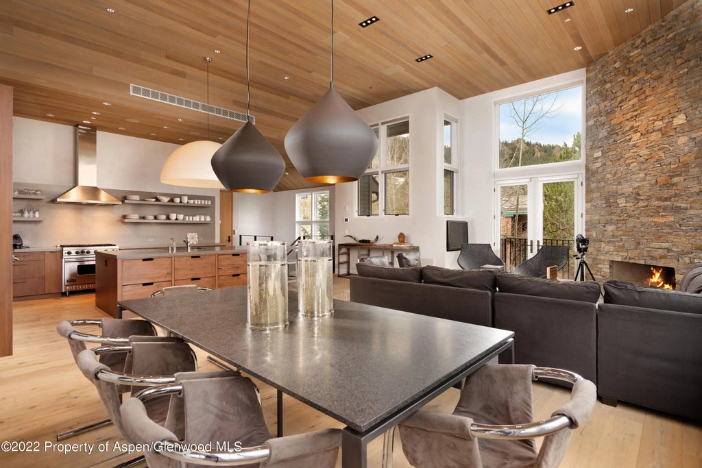 5 of 28 - 410 S West End Street 101, Aspen, CO