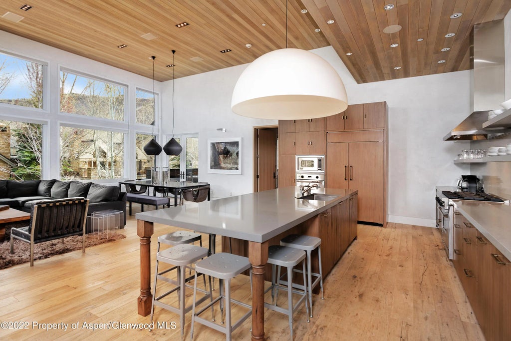 7 of 28 - 410 S West End Street 101, Aspen, CO