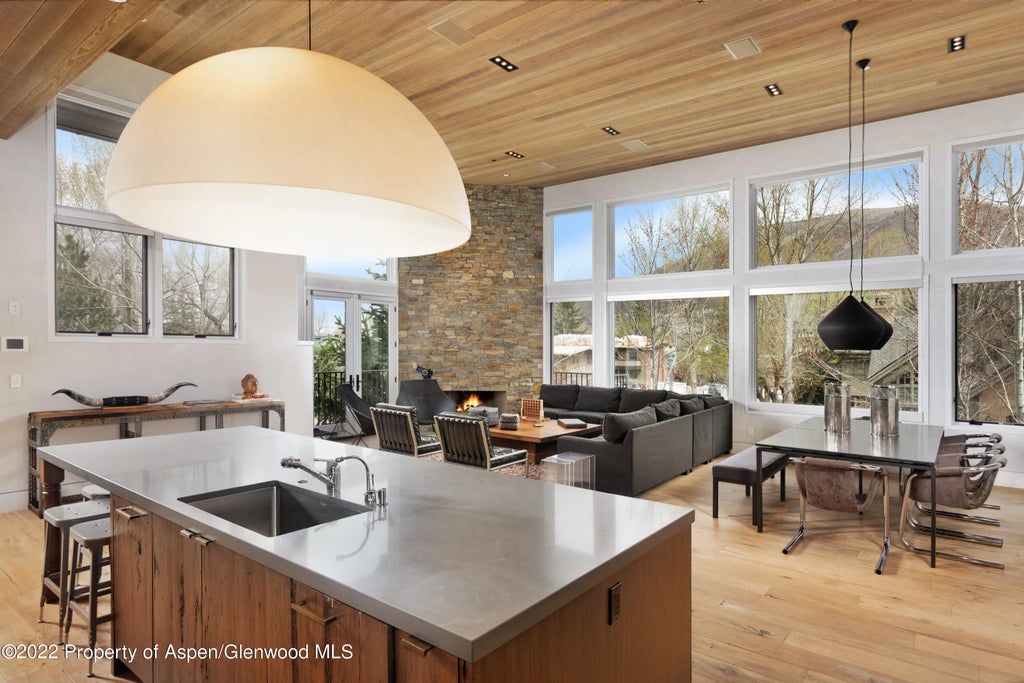 8 of 28 - 410 S West End Street 101, Aspen, CO