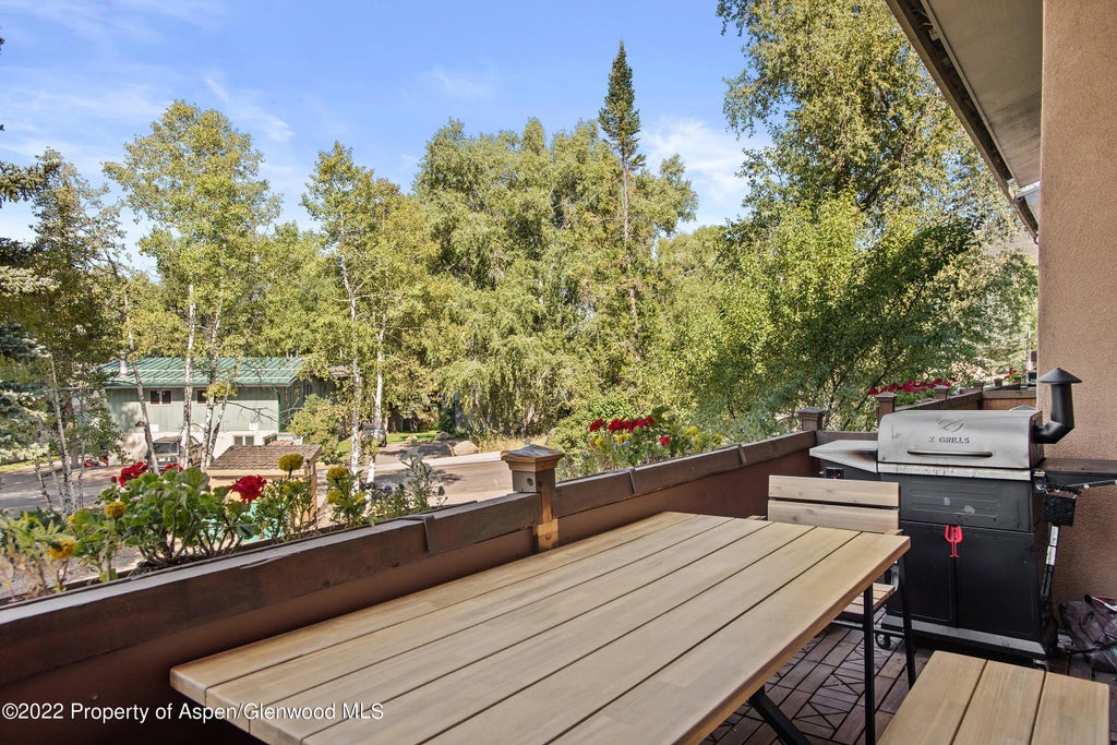 21 of 24 - 424 Park Circle Th3, Aspen, CO