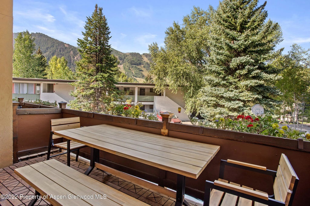 22 of 24 - 424 Park Circle Th3, Aspen, CO