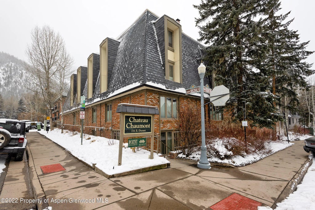 14 of 15 - 731 E Durant Avenue Unit 13, Aspen, CO