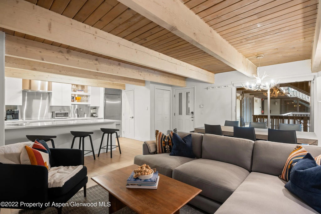 3 of 15 - 731 E Durant Avenue Unit 13, Aspen, CO