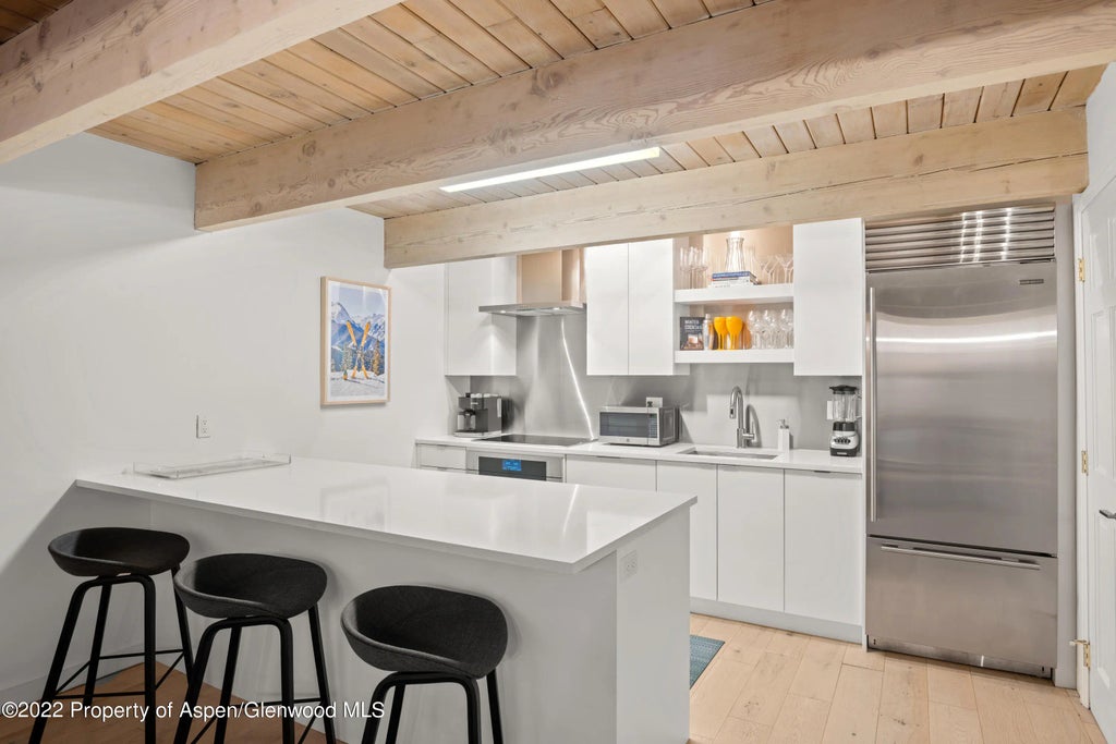 5 of 15 - 731 E Durant Avenue Unit 13, Aspen, CO