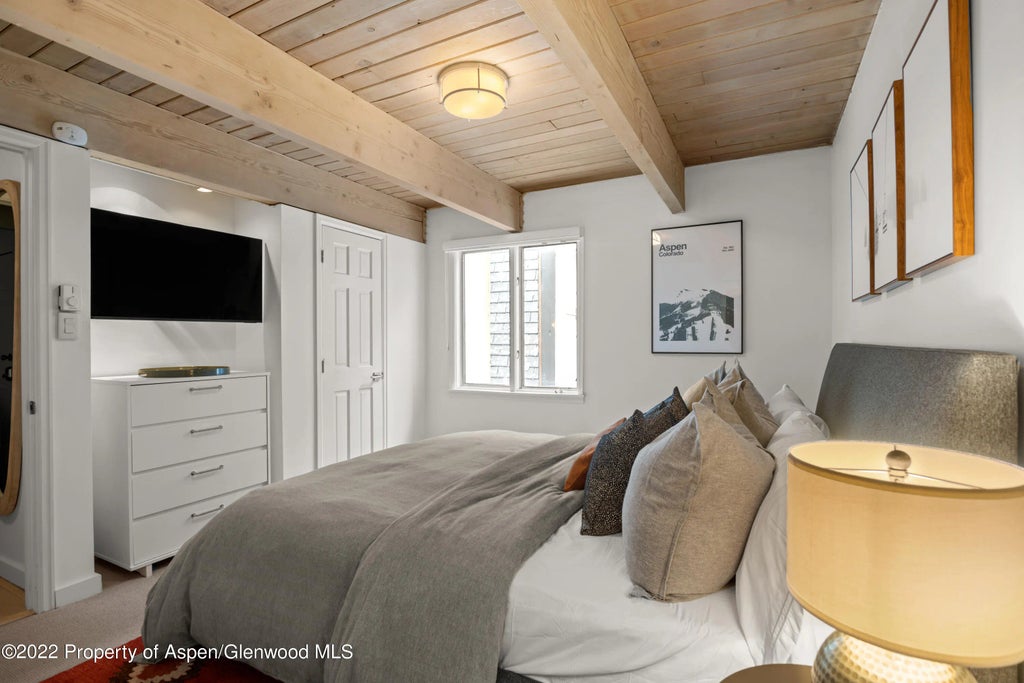 6 of 15 - 731 E Durant Avenue Unit 13, Aspen, CO