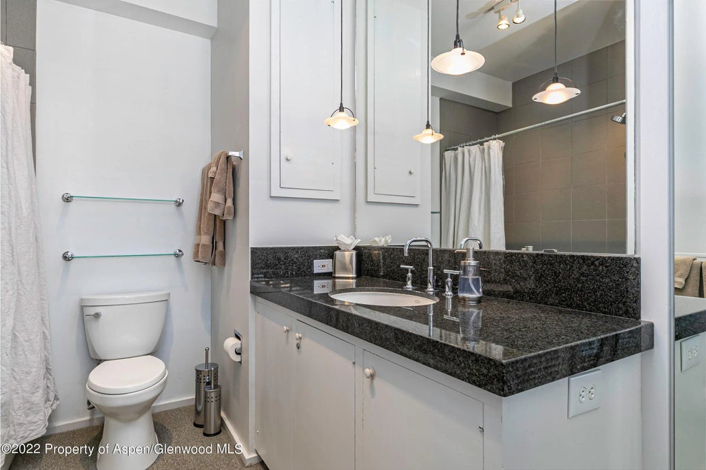 11 of 11 - 610 E Hyman Avenue Penthouse, Aspen, CO