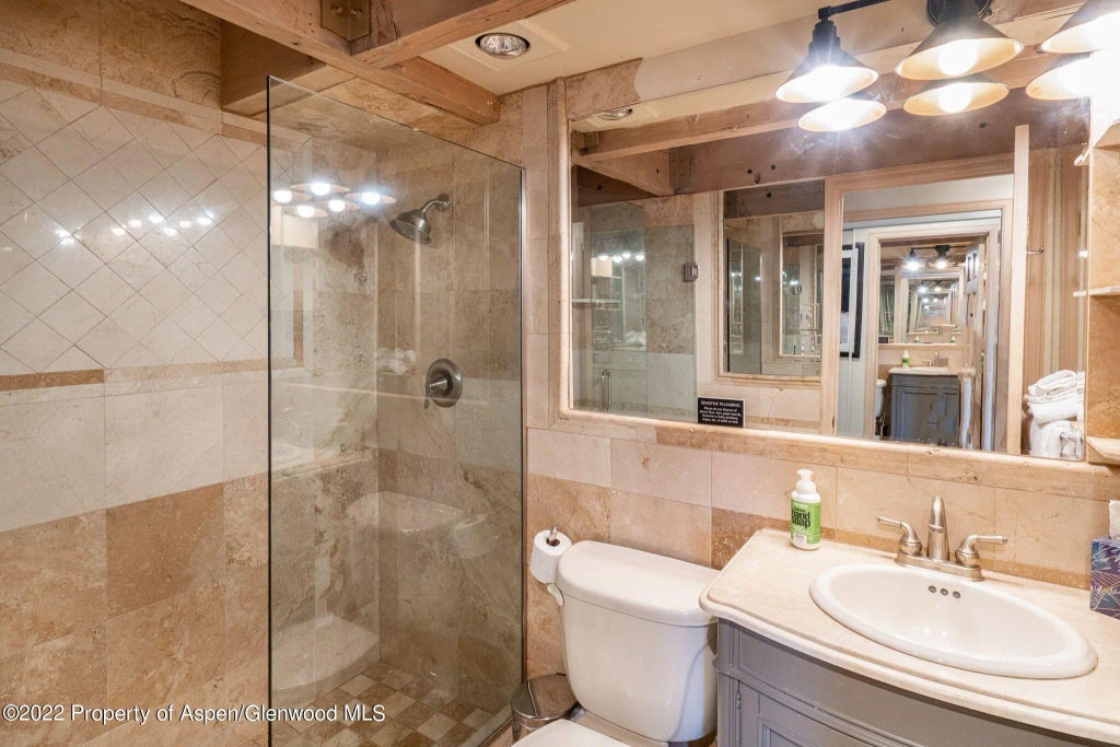 10 of 12 - 731 E Durant Avenue 12, Aspen, CO