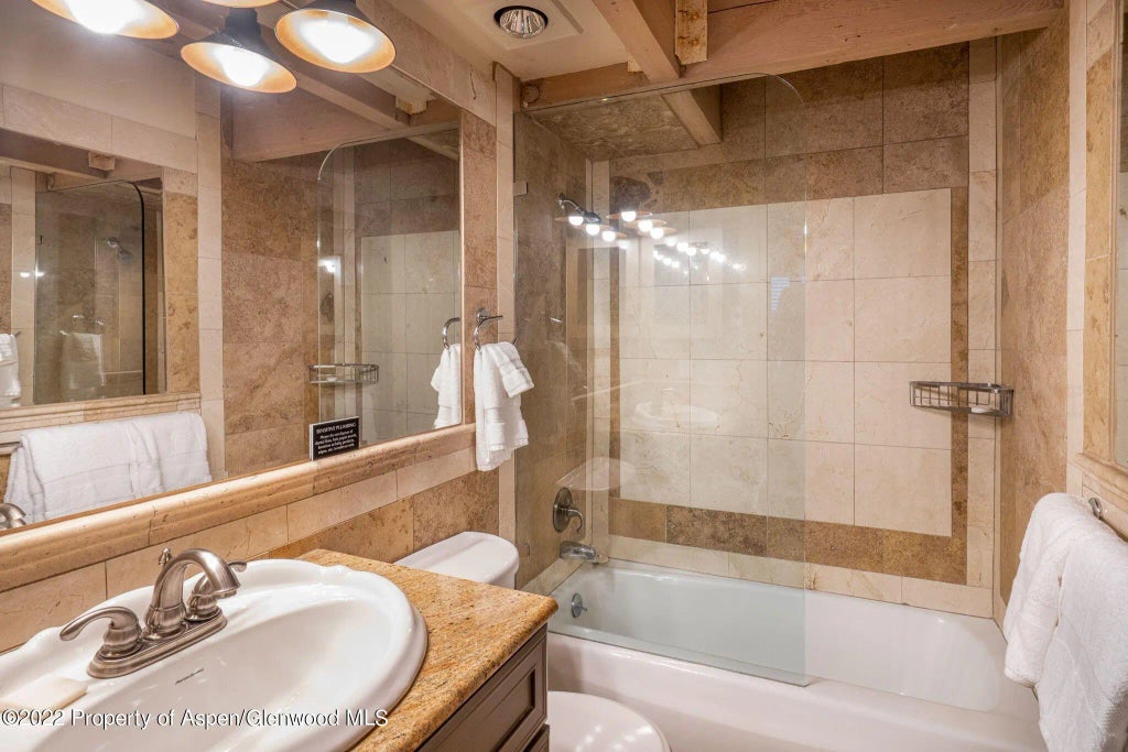 8 of 12 - 731 E Durant Avenue 12, Aspen, CO