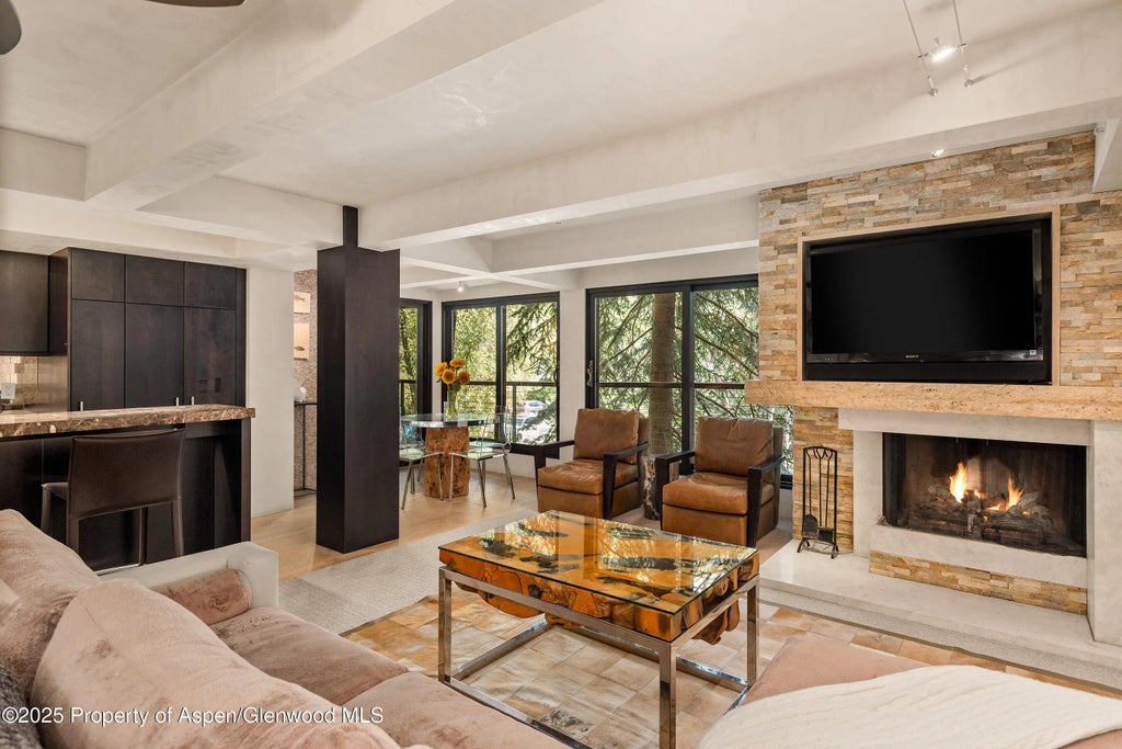 1 of 23 - 1034 E Cooper Avenue 26, Aspen, CO