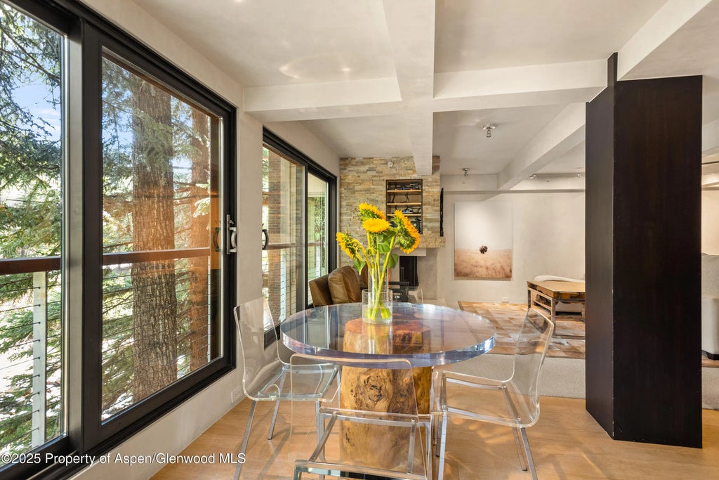 6 of 23 - 1034 E Cooper Avenue 26, Aspen, CO