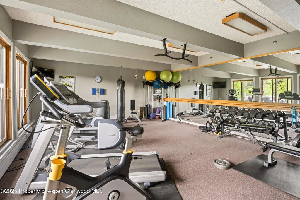 41 of 44 - 55 Upper Woodbridge Road Unit G3, Snowmass Village, CO