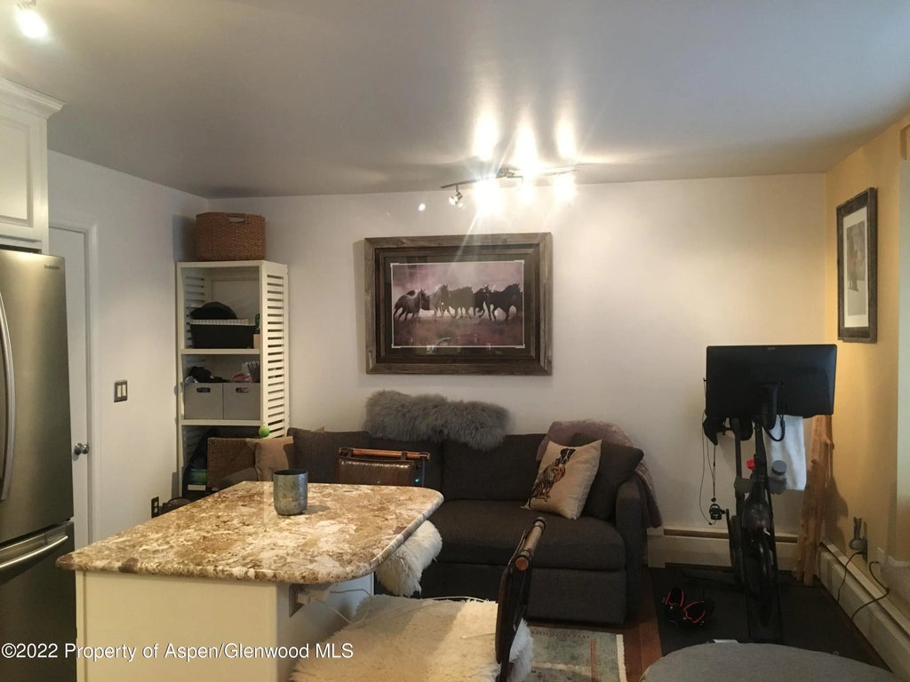 8 of 10 - 415a Pacific Ave, Aspen, CO