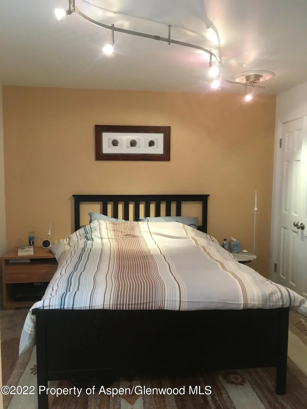 9 of 10 - 415a Pacific Ave, Aspen, CO