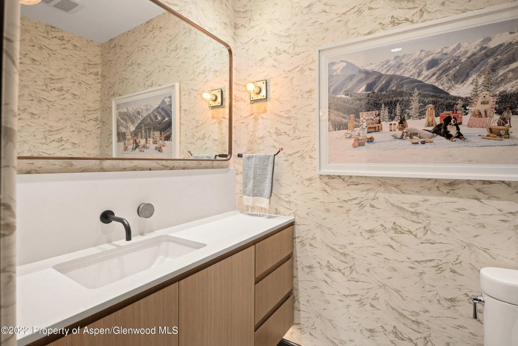 28 of 32 - 940 E Hyman Avenue, Aspen, CO